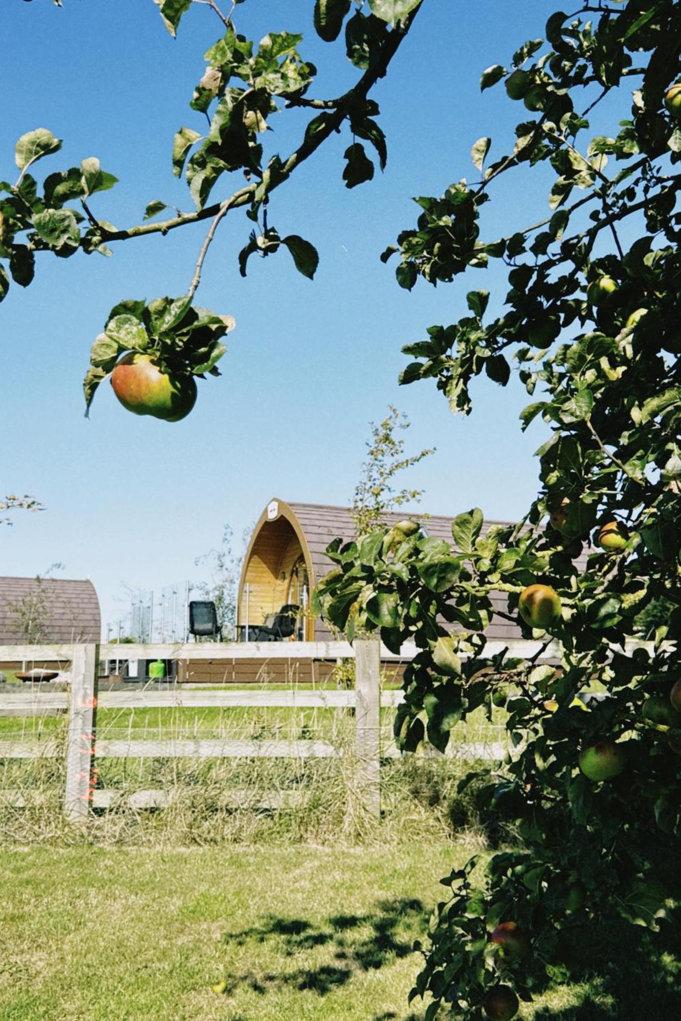 Villa Mingle Dale- Bugthorpe Grange Glamping à Stamford Bridge Extérieur photo